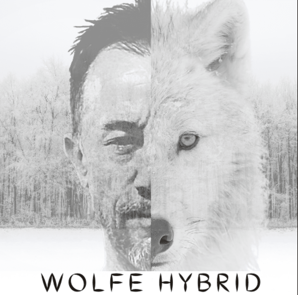 You are currently viewing Wolfe Hybrid new single Survivor is out now!