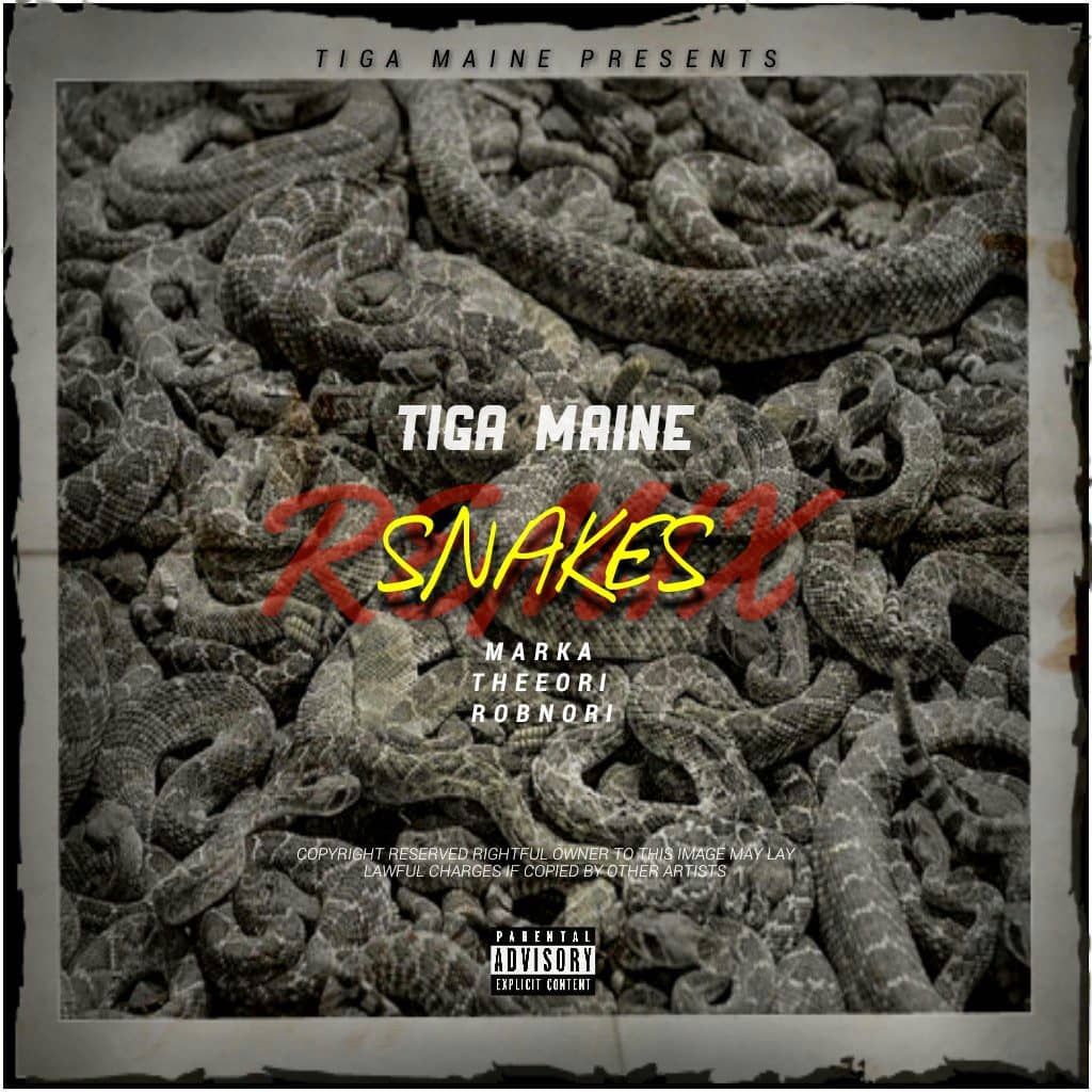 You are currently viewing Tiga Maine – Snakes Remix