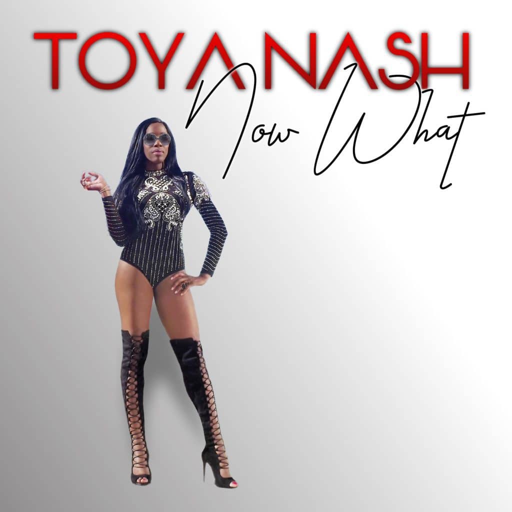 Read more about the article Now What by TOYA NASH Song Review