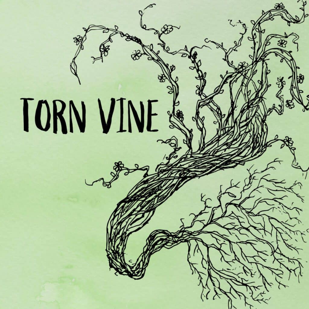 You are currently viewing The A.M.s Release Debut Single, “Torn Vine”