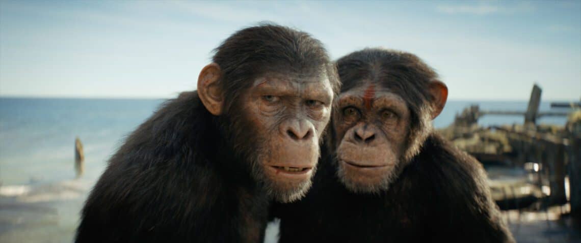 Read more about the article Watch NEW TRAILER FOR 20TH CENTURY STUDIOS’ ALL-NEW ACTION-ADVENTURE SPECTACLE “KINGDOM OF THE PLANET OF THE APES”