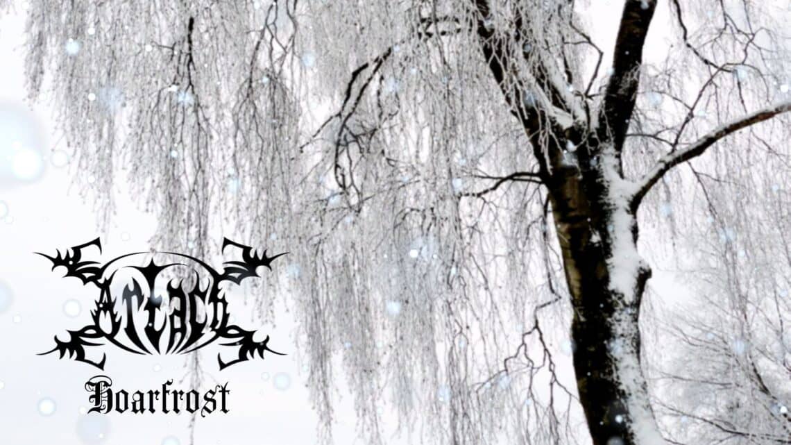 Read more about the article Newfoundland Black Metal Duo ARTACH Unleash Release New Single “Hoarfrost”