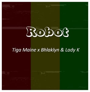 Read more about the article Tiga Maine – Robots Song Review