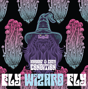 Read more about the article Fly Wizard Fly New Funky Single by Mashup & Cozy Condition