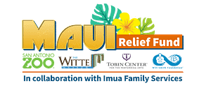 Read more about the article The Tobin Center partners with other cultural organizations unite to support the ‘Imua Maui Relief Fund’