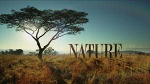 You are currently viewing PBS Distribution “NATURE: ANIMALS WITH CAMERAS” Available on DVD and Digital HD April 24
