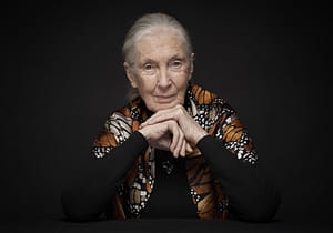 Read more about the article The Tobin Center for the Performing Arts presents An Evening with Dr. Jane Goodall, DBE