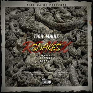 Read more about the article Tiga Maine – Snakes Remix