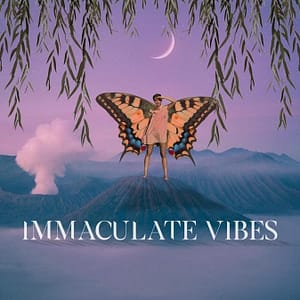 Read more about the article Rising Artist Sophia Eiss Debuts “Immaculate Vibes”