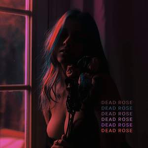 Read more about the article Ladders Releases New Enigmatic Single, “Dead Rose”
