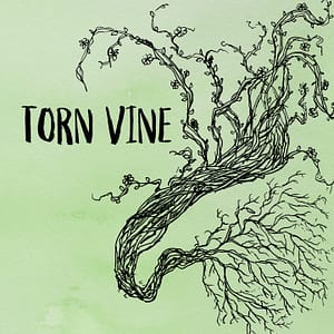 Read more about the article The A.M.s Release Debut Single, “Torn Vine”