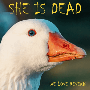 Read more about the article She is dead releases new album “We love reverb”