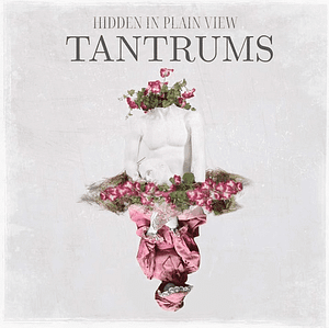 Read more about the article Hidden In Plain View Release New EP ‘Tantrums’