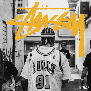 Read more about the article JOVAAN PRESENTA “STUSSY”