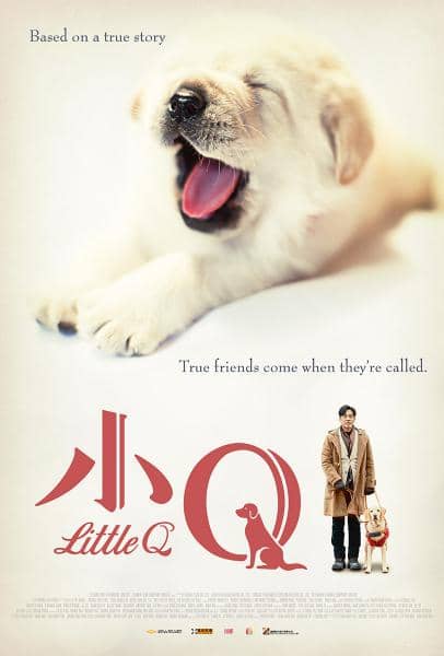 You are currently viewing LITTLE Q Film Review