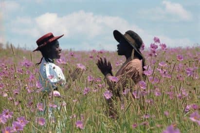 Read more about the article Celebrating its 35th Anniversary, Steven Spielberg’s The Color Purple, Which Introduced Moviegoers to Whoopi Goldberg and Oprah Winfrey, Returns to Cinemas for One Day Only This February