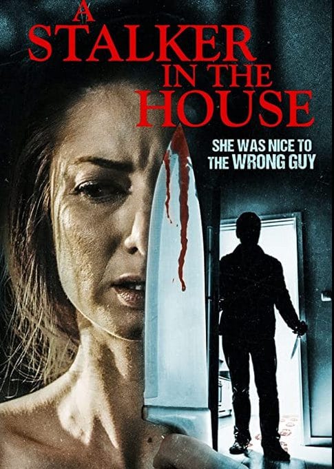 Read more about the article A Stalker in the House Review