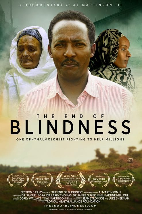 You are currently viewing The End of Blindness Review