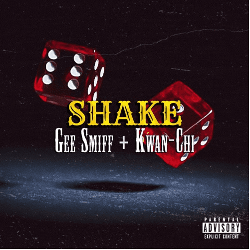 Read more about the article Shake Ft. Kwan-Chi By Gee Smiff Music Review