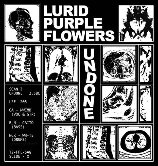 You are currently viewing Lurid Purple Flowers Release Swirling New Single “Undone”