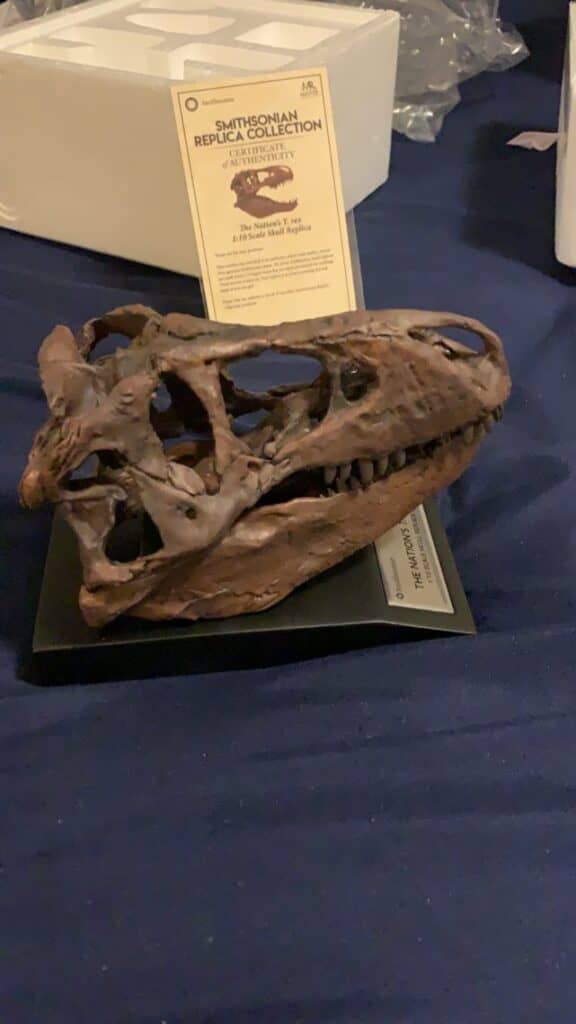 Read more about the article The Nation’s T. Rex 1:10 Scale Skull Replica Review and Unboxing