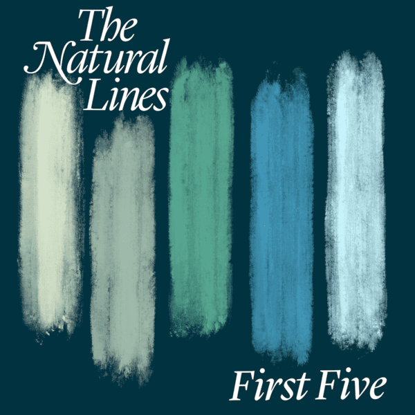 Read more about the article The Natural Lines share new single and video “Spontaneous Skylights 2”