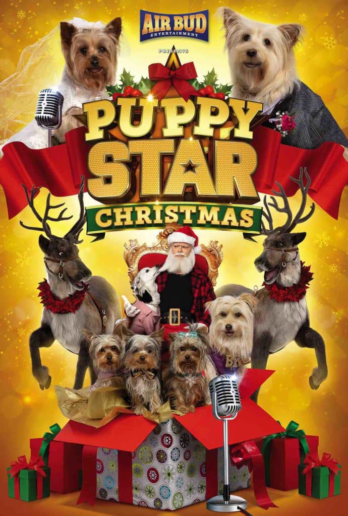 You are currently viewing AN ALL-NEW HOLIDAY MOVIE DEBUTING ON NETFLIX Air Bud Entertainment Proudly Launches the Holiday Season  with an Exciting All-New Family Movie Adventure!