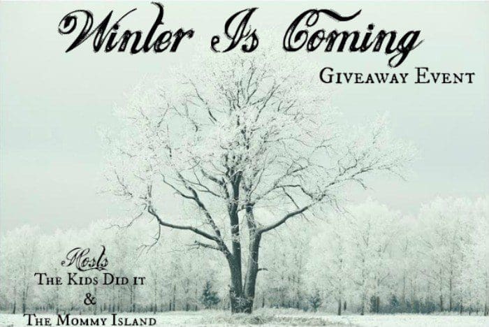 You are currently viewing Win A $5 Amazon Gift Card Winter Blog Hop