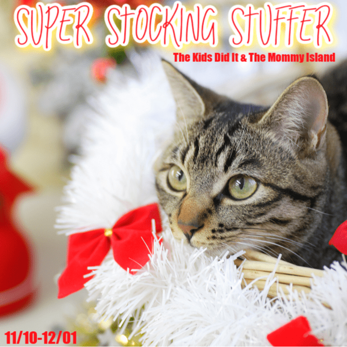 You are currently viewing Super Stocking Stuffer Amazon Gift Card Giveaway Blog Hop