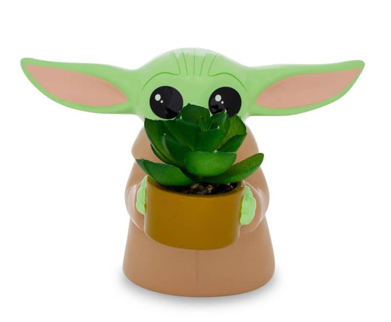 Read more about the article Grow Your Collection with Ceramic Planters From Your Fave Fandom