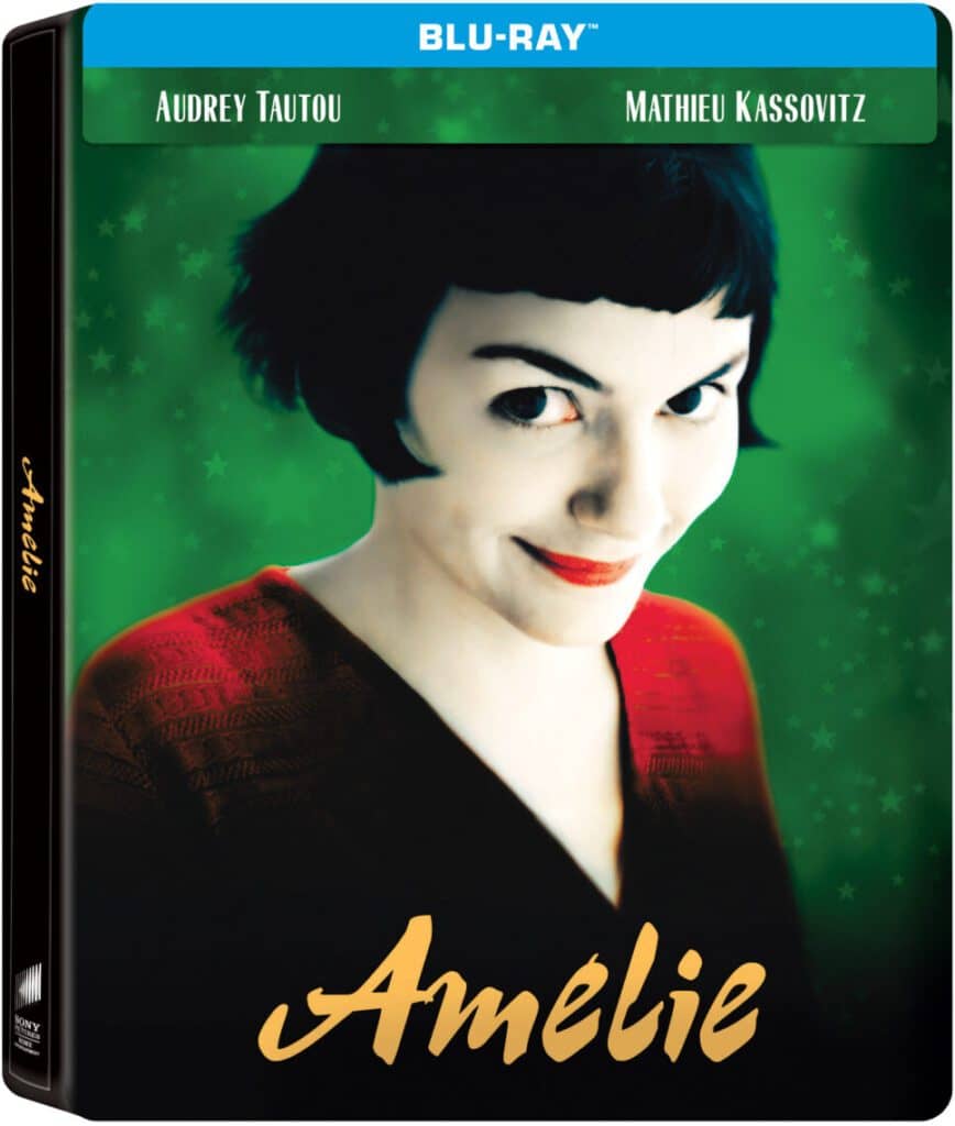You are currently viewing Amelie Steel Book Review