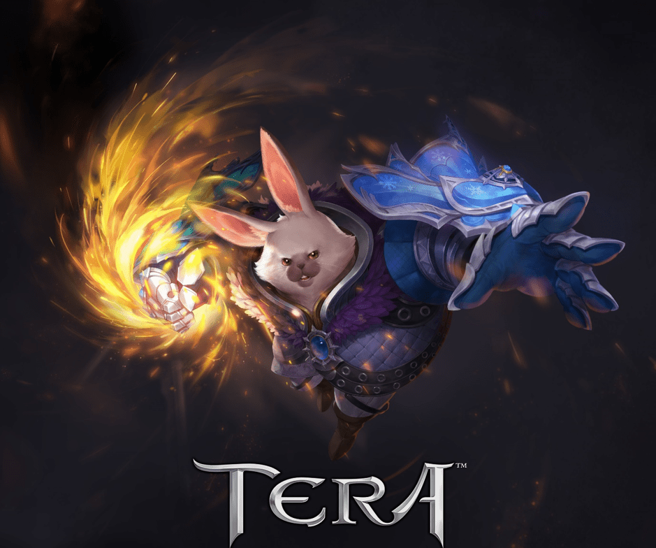 Read more about the article Get Ready to Rumble! The Popori Brawler Enters the Ring on TERA Console!